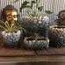 Kay Ogden - Facebook