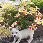 Darla Kaye Oliver - @darla.k.oliver.9 - Instagram