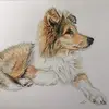 Kaye Cardell-Oliver Art - @kayecardelloliverart - TikTok