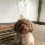 Kaye Oliver Fajardo Mabutas - Facebook
