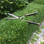 Kaye Parsons - @kayeparsons - Instagram