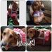 Kaye Pate - Facebook