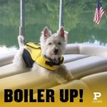 Kaye McCauley Phillips - @boilergal74 - Instagram