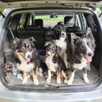 Kaye Miers Phillips - @kayemiers - Instagram