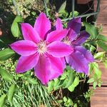 Kaye Poole Driggers - @driggerskaye - Instagram
