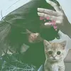 kaye ramos - @kaye.ramos7 - TikTok