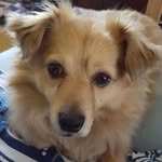 Kaye Redding - @kayeredding - Instagram