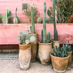 Kaye Redding - @reddog098 - Instagram