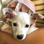Kaye Reese Espineda - @kaye.reese - Instagram