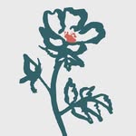Kate Reeves - @ramblingroseflowers - Instagram