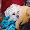 Kay Richards - @kay.richards8 - TikTok
