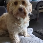 Kay Richmond - @kayrichmond1956 - Instagram