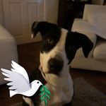 Kaye Roberts - @kaye.roberts.1291 - Instagram