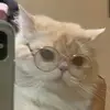 Kaye Rodriguez - @kaye.rodriguez23 - TikTok