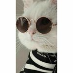 Kaye Schmidt - @wamapo5803 - Instagram