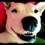 Kaye Schmidt - @kaye.schmidt.5 - Instagram