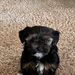 Kaye Schuster - @schuster_kaye - Instagram