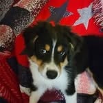 Kaye Sheets - @kayesheets51 - Instagram