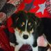 Kaye Sheets - Facebook