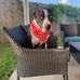 Kay Spence - Facebook