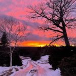 Kate Steele - @kate_steele_photography - Instagram