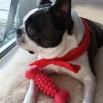 Kaye Stephens - @vegas1388 - Instagram