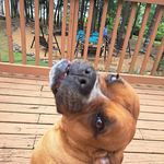 Kaye Strickland Owens - @kayeowens - Instagram
