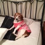 Kaye Wallace - @kdwallac - Instagram