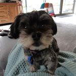 Kaye Wheeler - @kayedw55 - Instagram