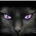 Kaye Wheeler - Facebook