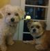 Kaye Whitehead - Facebook