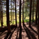 Kaye Woodward - @kaye.woodward.3 - Instagram
