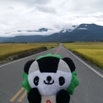 chan - @kayichan.pc - Instagram