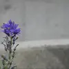 Kayla Bartels - @kayla.bartels7 - TikTok