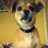kayla blocker - @kaylablocker - TikTok