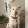 Kayla Borba - @kayla.borba0 - TikTok