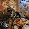kaylaborowski442 - @kaylaborowski442 - TikTok