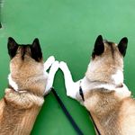 KAYLA & BRADY’S UNIVERSE - @kayla.bradys_universe - Instagram
