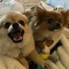 Kayla_Calvin😁 - @kayla_calvin21 - TikTok