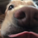 Kayla - @_kaylacasey_ - Instagram