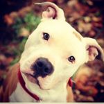 Kayla - @kayla_caudill9 - Instagram