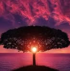 Kayla Chilcott - Facebook