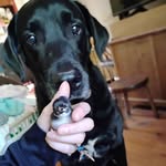 Kayla Colvin - @bubba9955 - Instagram