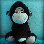 Kayla Comer - @kayla808swag - Instagram
