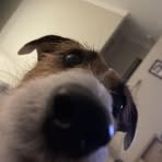 Kayla Cotton - Facebook