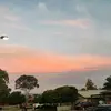 kayla crane - @charlee.themaster - TikTok