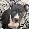 Kayla.DeLeon - @kayla.deleon - TikTok