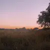 kayla - @kaylaadippo - TikTok