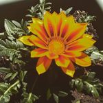 Kayla Dodge - @kayladodge2 - Instagram