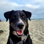 Kayla Dodge - @kayladodge24 - Instagram